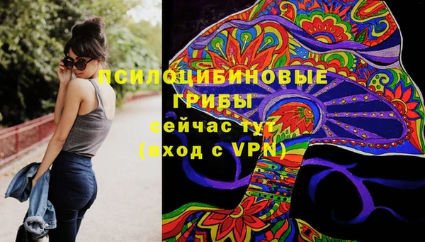 первитин Армянск