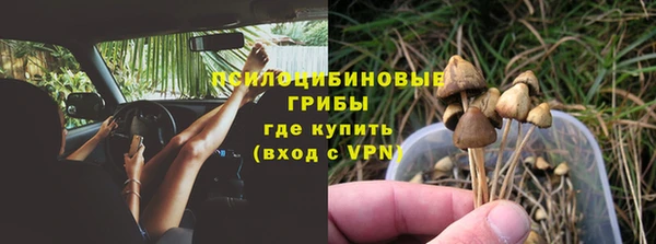 apvp Баксан